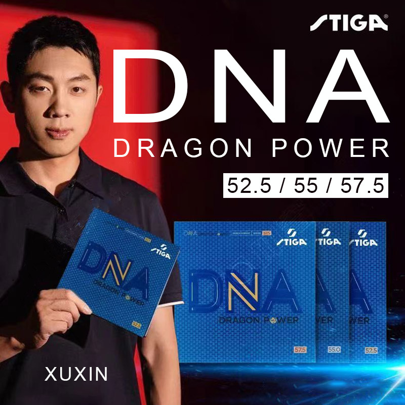 STIGA DNA DRAGON POWER Table T - Table Tennis Germany ulasan dan harga