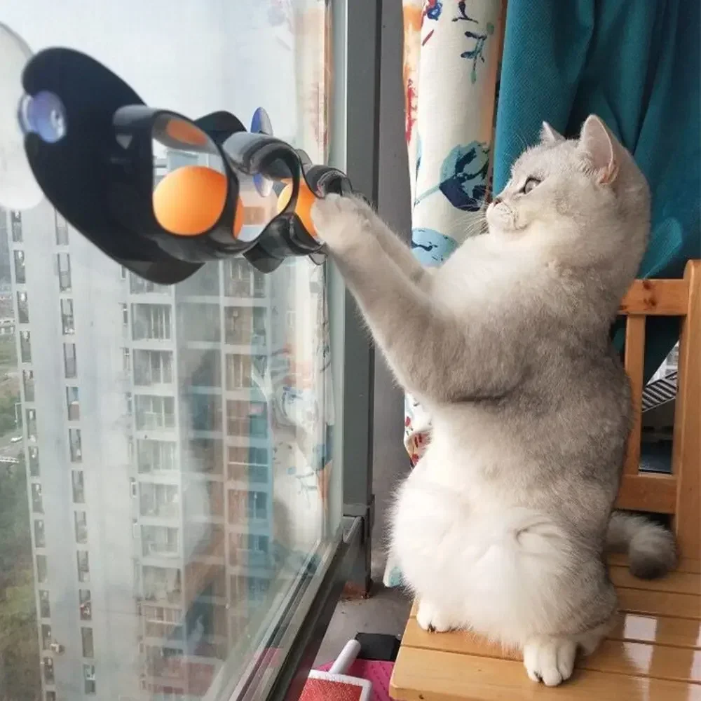 New Track Cat Toy Plastic Suck - Table Tennis Ball ulasan dan harga