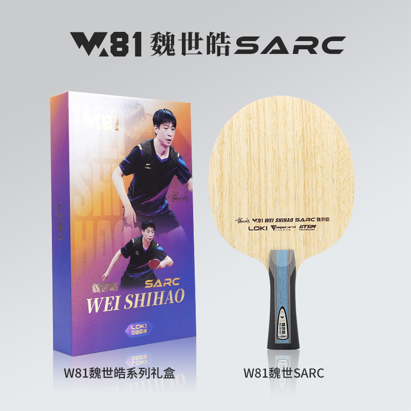 2026 LOKI W81 Series Table Ten - Table Tennis Loki ulasan dan harga