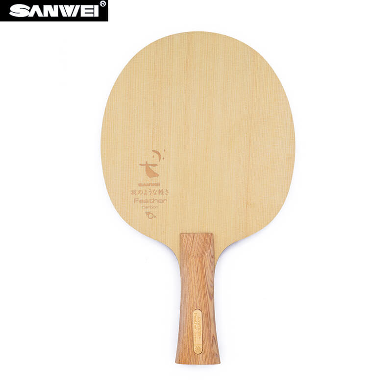 SANWEI Feather Carbon Table Te - Stiga Carbon Blade ulasan dan harga